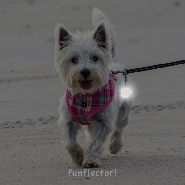 Cute dog with paw print safety reflector for walking in the dark - by funflector
