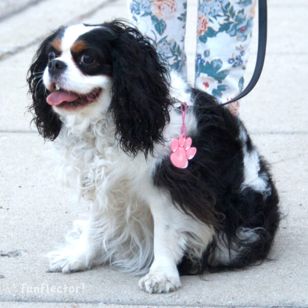 Cute dog with pink paw print safety reflector for walking in the dark - by funflector