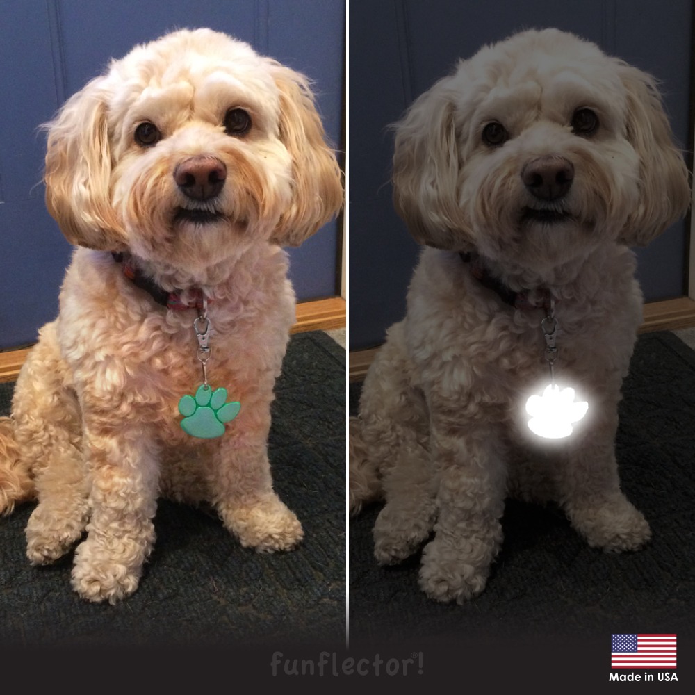 Cute dog with paw print safety reflector on swivel clasp for walking in the dark - by funflector