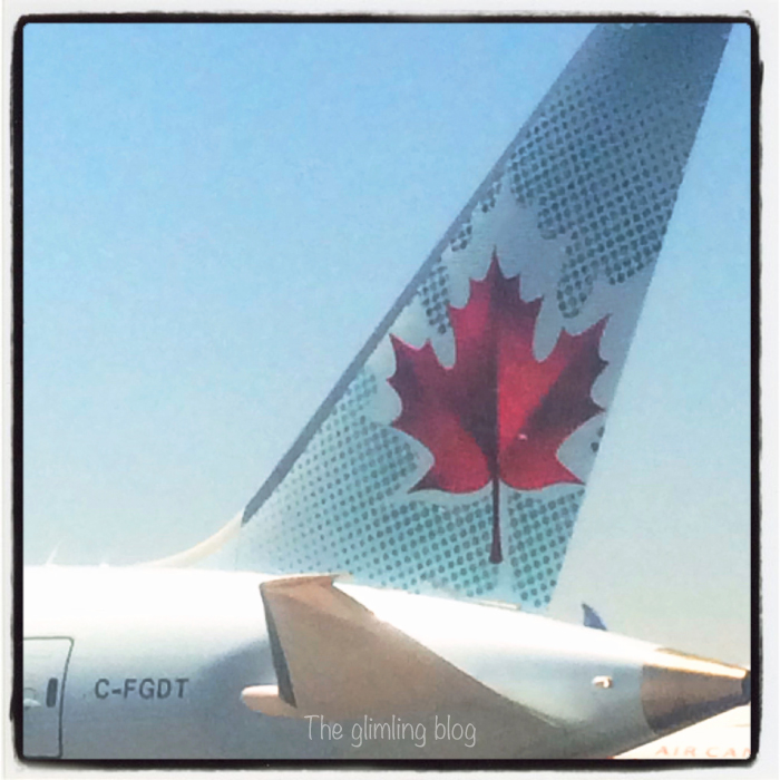 Air Canada airplane with a maple leaf on it's tail.