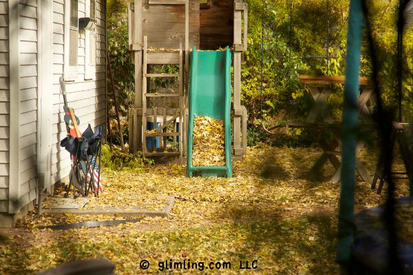 Yellow fall leaves by the funflector blog