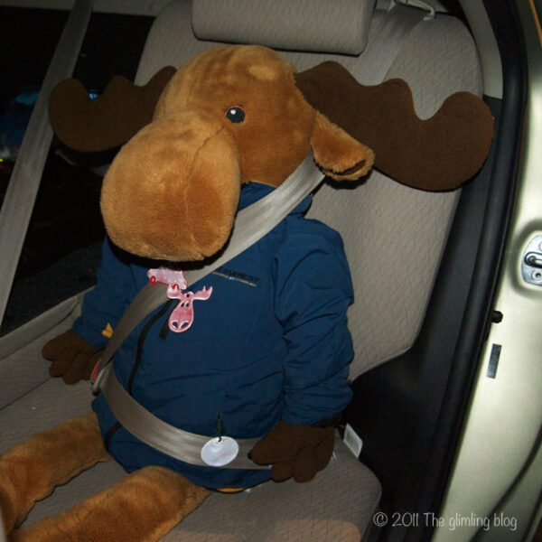 Stuffed moose in the back seat with safety reflectors but no booster seat