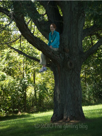 girl climbing big maple tree outdoors