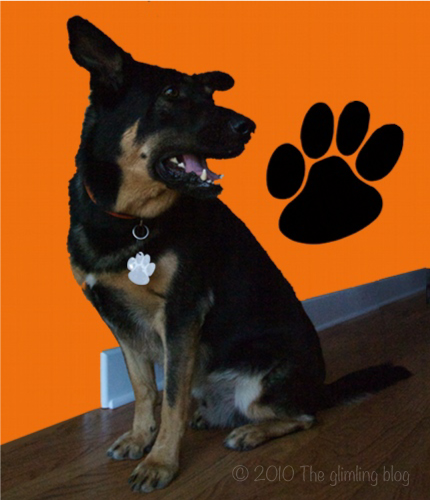 Woof, woof! means Go Wildcats! - Dog with paw print safety reflector.