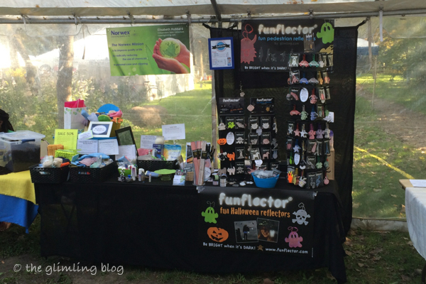 Our combined booth for funflector and Norwex at the Evanston Green Festival, September 2014