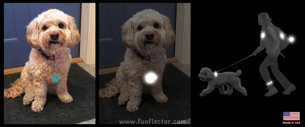 paw print safety reflector for dogs and dog walking
