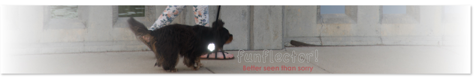 Funflector safety reflectors for your dog's safety