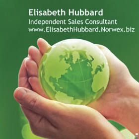 norwex_consultant_elisabeth_hubbard