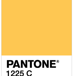 Yellow - Pantone 1225 C