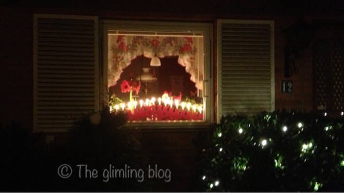 Typical Swedish Christmas window with lights, Amaryllis and Christmas curtains.